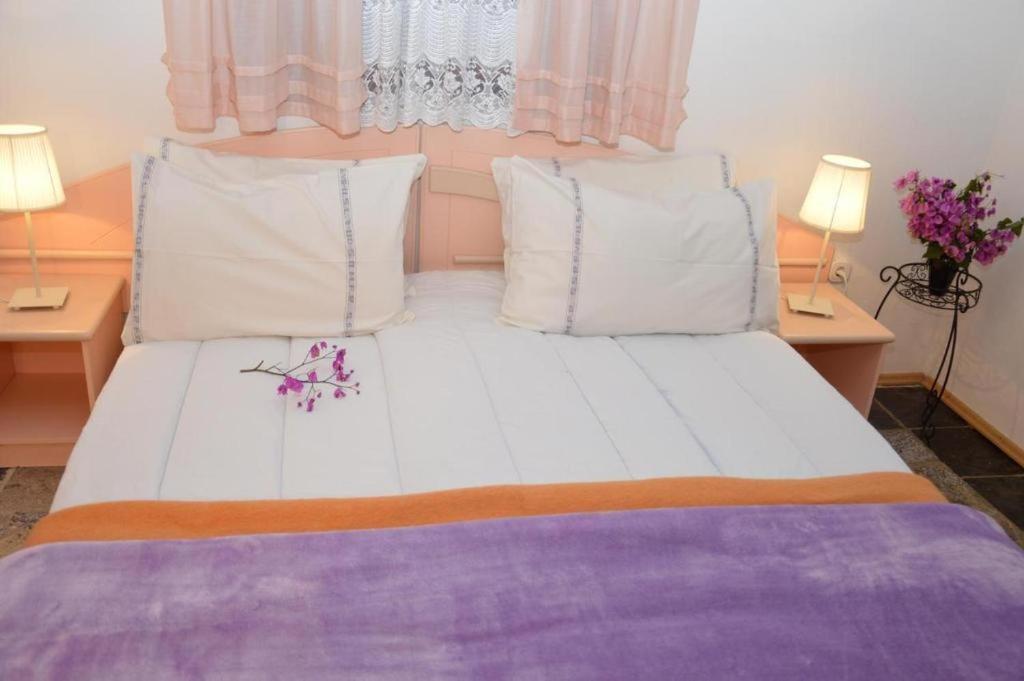 Apartments Agata Nova Vas  外观 照片